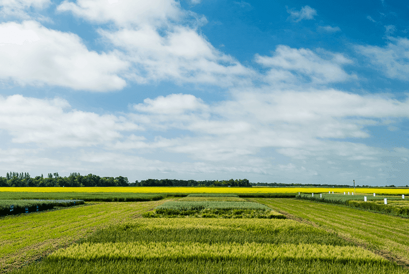 Featured image for “RICHARDSON EXPANDS RETAIL NETWORK WITH ACQUISITION OF CROP FIRST AGRO”