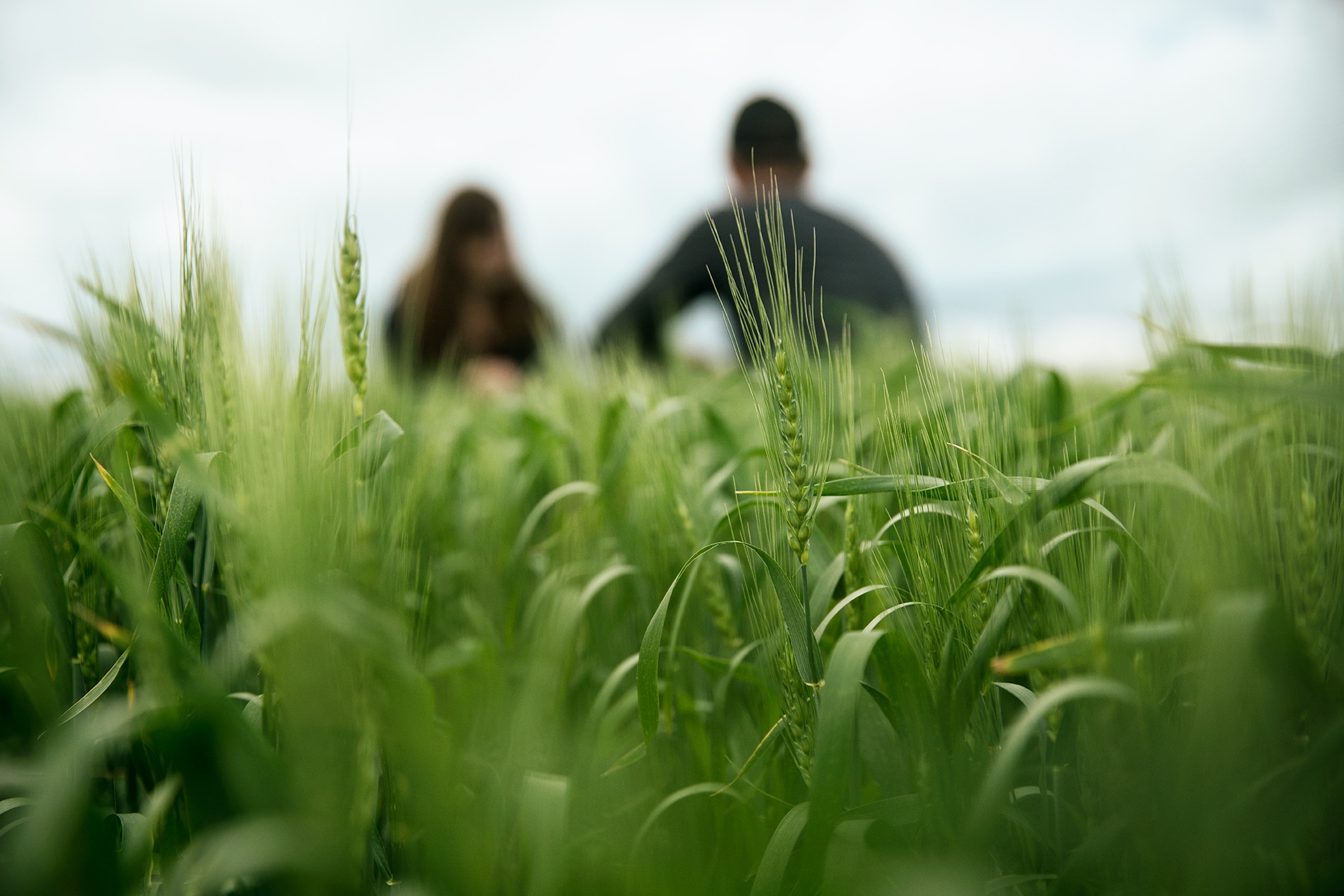 Featured image for “Richardson Pioneer Commits to Leadership Role in 4R Nutrient Stewardship”